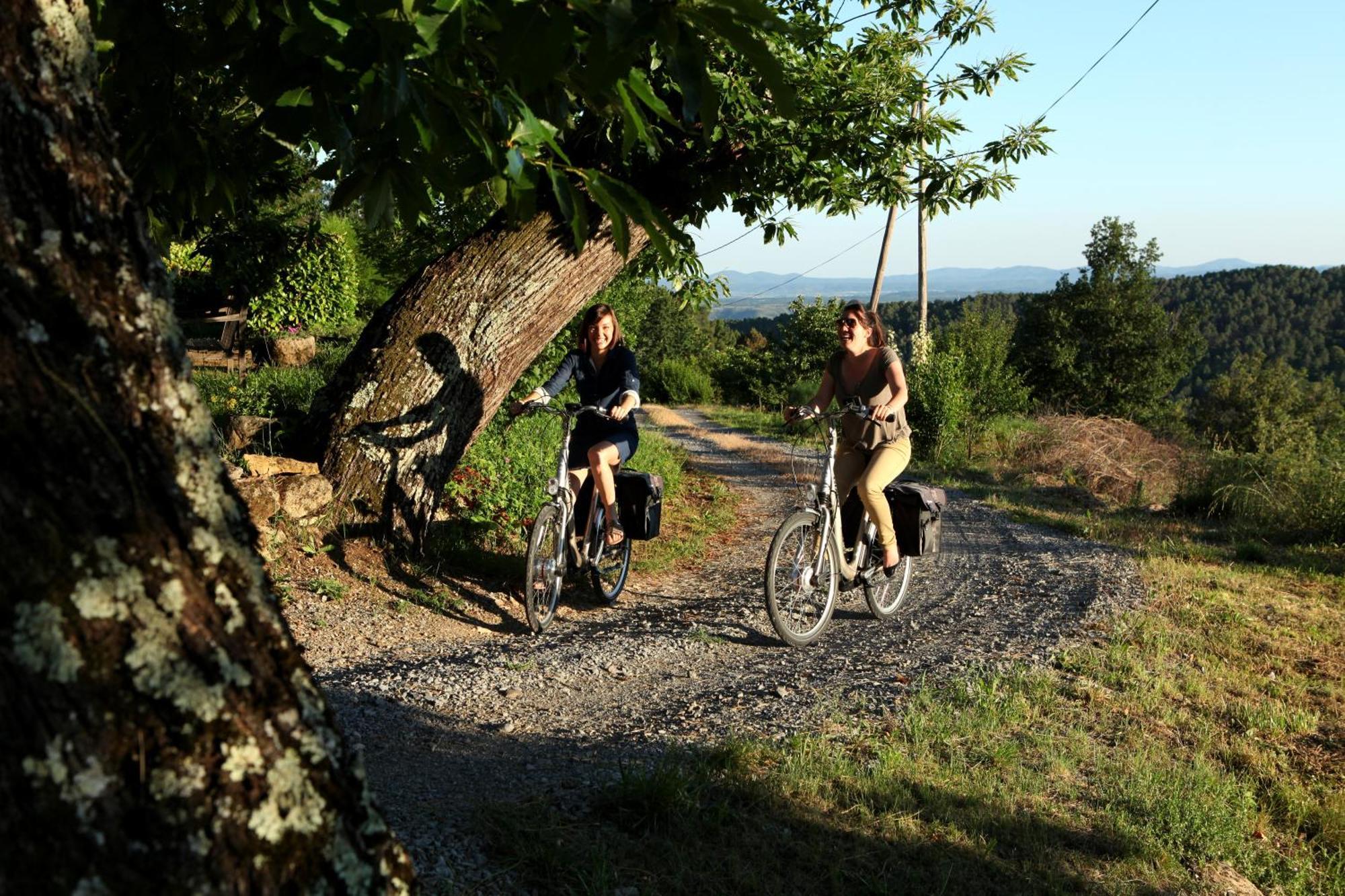 Auberge De La Tour De Brison Sanilhac  Zewnętrze zdjęcie